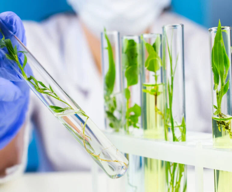 Ung thư tuyến giáp: Dịch tễ học và các yếu tố nguy cơ